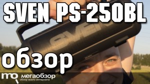 Обзор SVEN PS-250BL. Портативная колонка с ручкой, FM и MP3